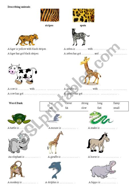 Describing Animals Esl Worksheet By Elamal