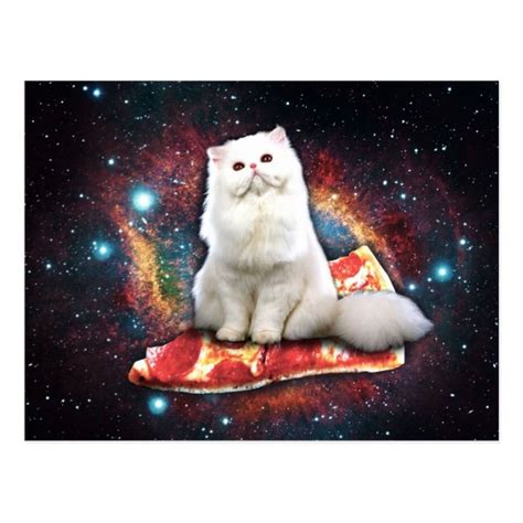 Space Cat Pizza Postcard Zazzle Pizza Cat Space Cat Kittens Cutest