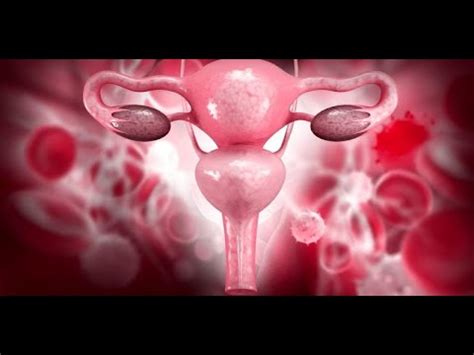 FISIOPATOLOGÍA DEL SISTEMA REPRODUCTOR FEMENINO YouTube