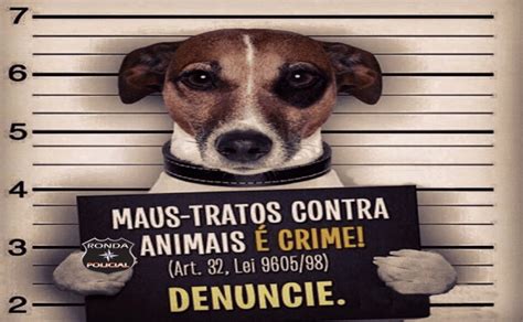 Ronda Policial Realiza Campanha De Alerta Contra Os Maus Tratos A