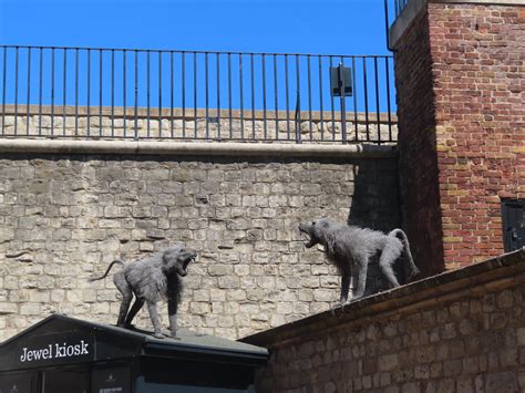 London The Tower Of London The Menagerie Terracotta Buff Flickr