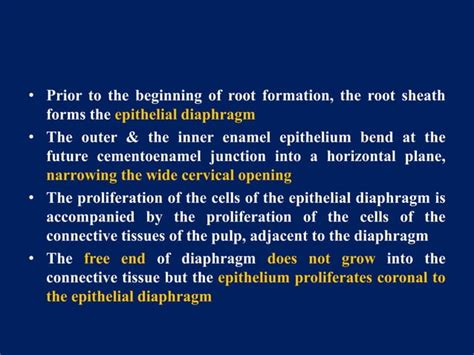 development and growth of teeth