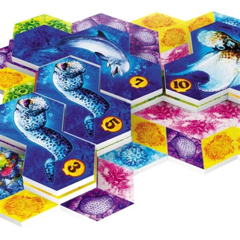 Aqua Biodiversity In The Oceans Board Game Games World