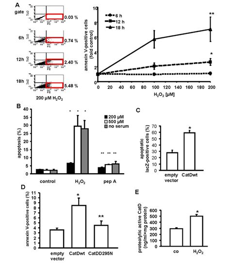 A H 2 O 2 Induced Apoptosis In A Time And Dose Dependent Manner