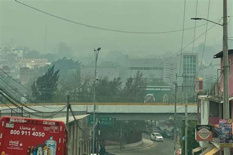 Grupos Del Crimen Organizado Incendian Bosques De La Sierra De Guerrero