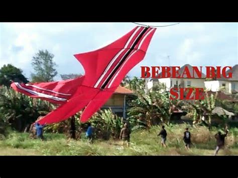 Layangan Bebean Big Size Terbang Dipadang Galak Youtube