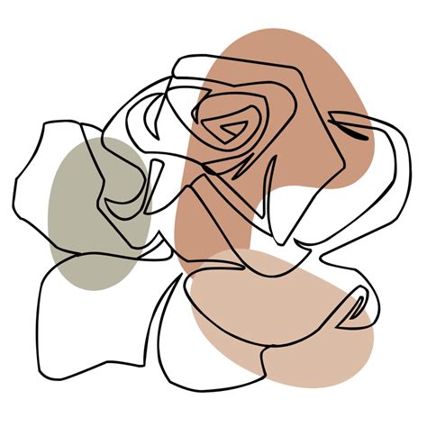 Aesthetic Rose Line Art Collection 21445451 PNG