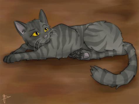 Graystripe Warrior Cats Wallpapers Wallpaper Cave