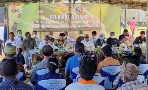 Komisi Iv Dpr Ri Apresiasi Kesuksesan Food Estate Sumba Tengah Si