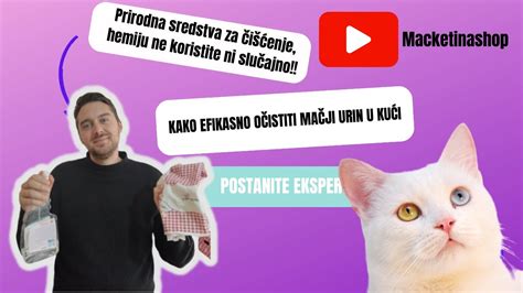 Kako efikasno očistiti mačji urin u kući YouTube