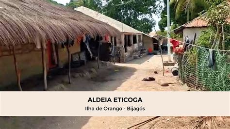 Aldeia Eticoga Ilha De Orango Arquip Lago Dos Bijag S Guin Bissau