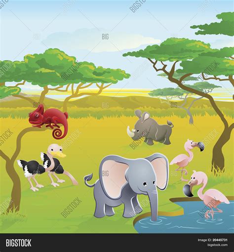 Cute African Safari Vector & Photo (Free Trial) | Bigstock