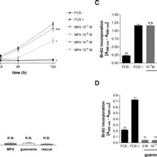 Fibroblast Proliferation Is Significantly Reduced With M Mpa And