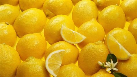 Download Aesthetic Lemon Fruits Wallpaper