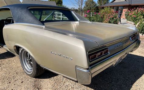 1967 Pontiac LeMans Rear Barn Finds