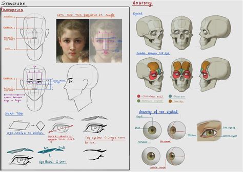comment dessiner  visage les bases du portrait artofit