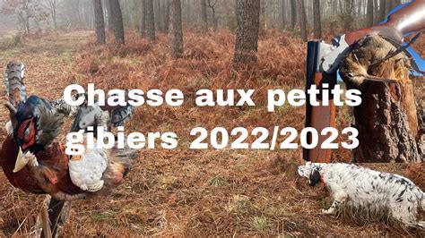 Chasse Aux Petits Gibiers 2022 2023 YouTube