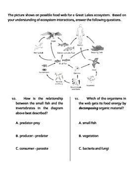 ecosystems modified quiz test  ws  jodis jewels tpt