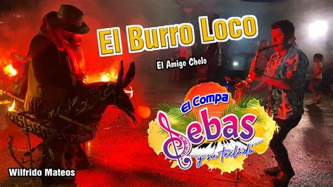 El Burro Loco Video Oficial El Compa Sebas Y Su Teclado