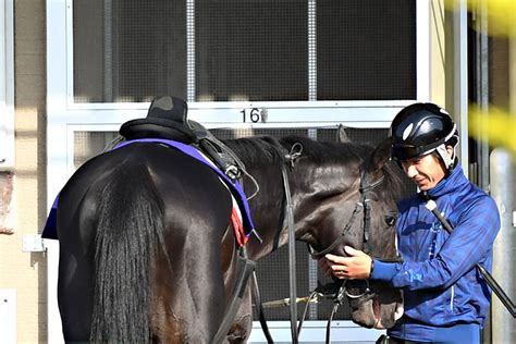 【日本ダービー・調教後の馬体重】イクイノックスは486キロ ダノンベルーガ496キロ 競馬ニュース・特集なら東スポ競馬