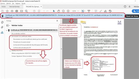 Firma Electr Nica Risk Monitor