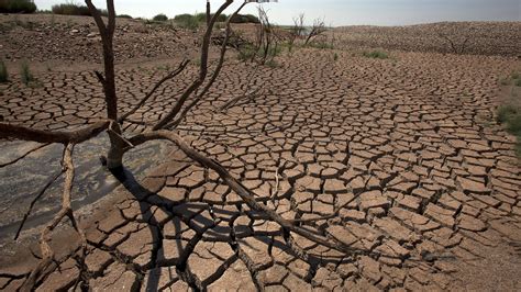 Toute La M Diterran E Menac E Par La S Cheresse Mprovence