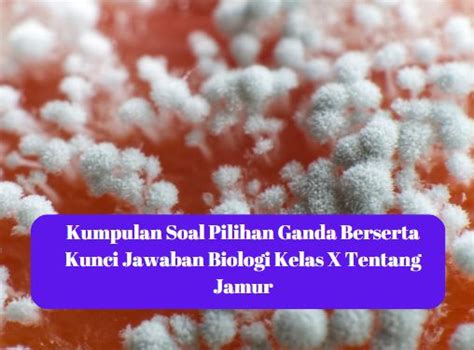 Kumpulan Soal Pilihan Ganda Berserta Kunci Jawaban Biologi Kelas X