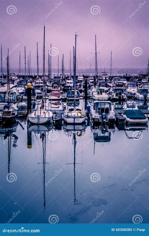 Torquay harbour editorial image. Image of britain, docks - 60308285