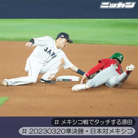 【写真特集】2023年プロ野球を振り返る「日刊的ハイライト」／侍ジャパン編 プロ野球ライブ速報まとめ 日刊スポーツ