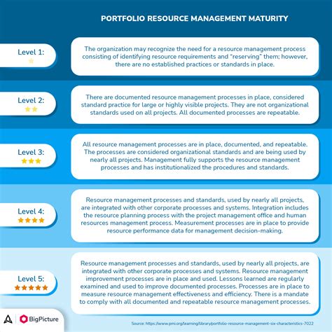 How To Portfolio Resource Management Bigpicture