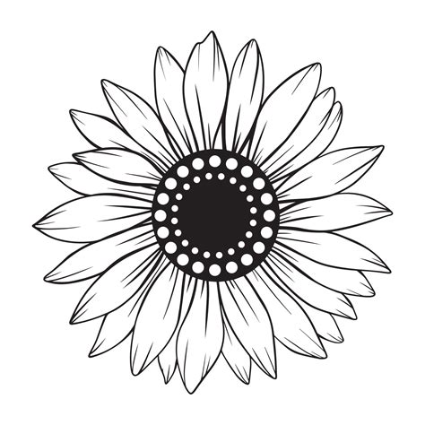 sunflower line art, sunflower line drawing, floral line drawing ...