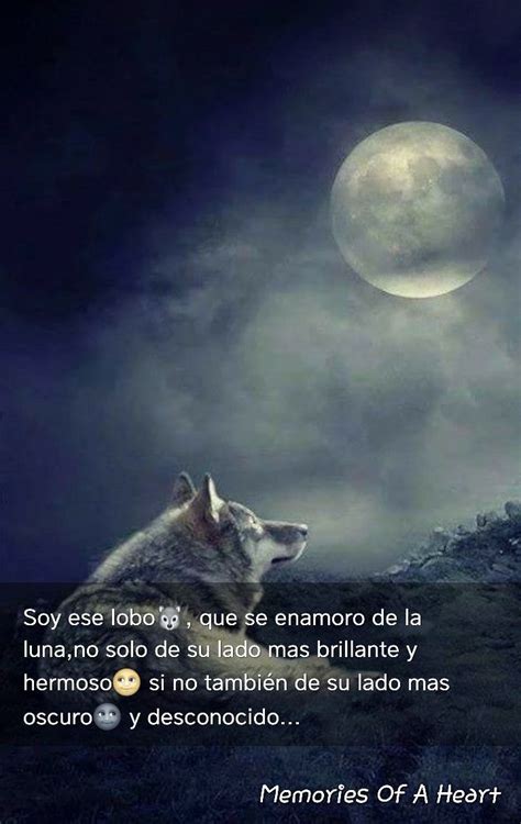 Total 98 Imagen Imagenes De Lobos Y La Luna Con Frases Abzlocal Mx