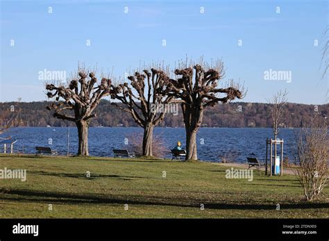 Tutzing Bayern Deutschland 19 Décembre 2023 Ein Wintertag dans