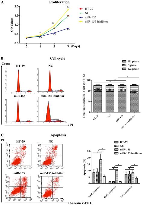 Microrna Acts As A Tumor Suppressor In Colorectal Cancer By