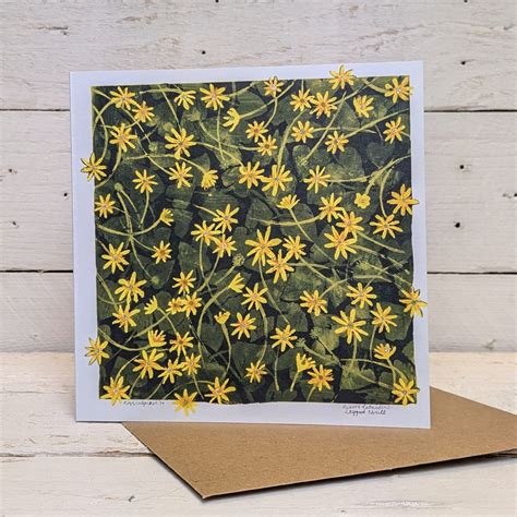 Celandine Square Greetings Card Driftwood Designs