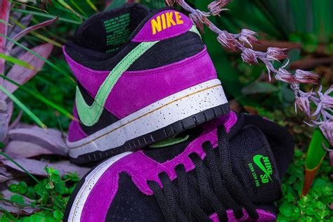 Nike Sb Acg Terra Red Plum Dunk Low Pro Atlas Skateboarding