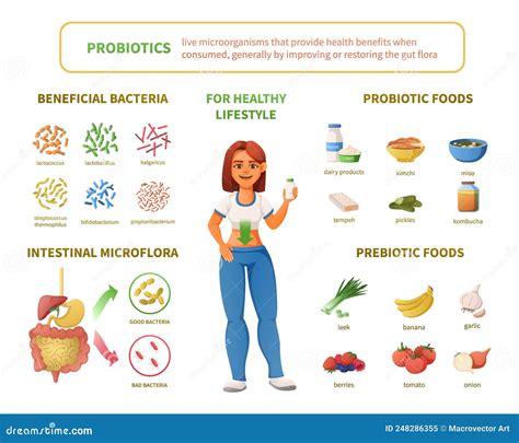 Conjunto De Probióticos Para Un Estilo De Vida Saludable Ilustración Del Vector Ilustración De