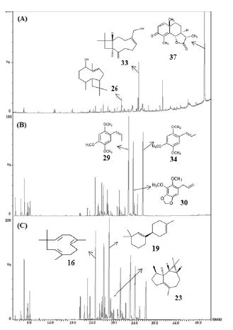 Chemical Composition And Antimicrobial Activity Of Essential Oil From