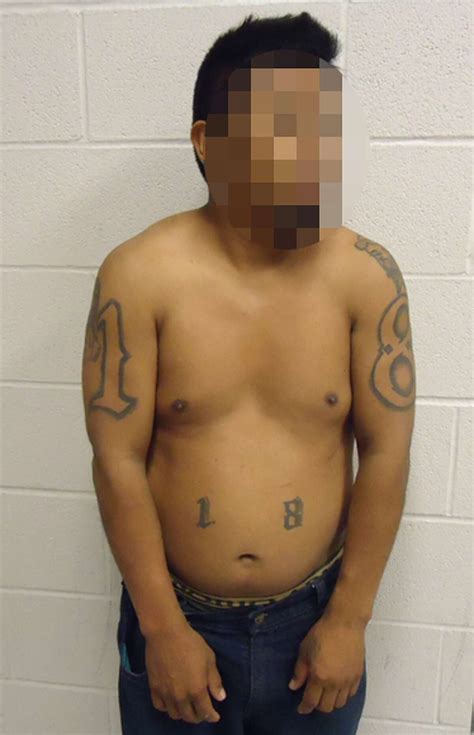 Border Patrol Agents Apprehend Gang Members Convicted Sex Offenders