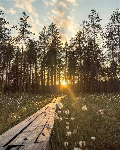 travel organizer inspiration artofit