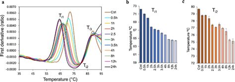 Measurement Of Unfolding Transitions Using Intrinsic Tryptophan