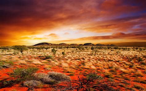 🔥 [50+] Arizona Desert Desktop Wallpapers | WallpaperSafari