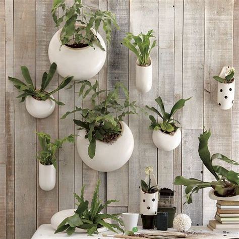 Wonderful Ways To Display Indoor Plants The Owner Builder Network