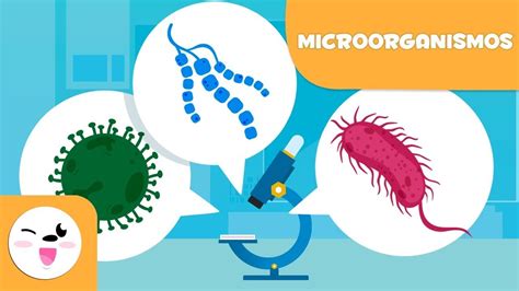 O que são microorganismos Bactérias vírus e fungos para crianças