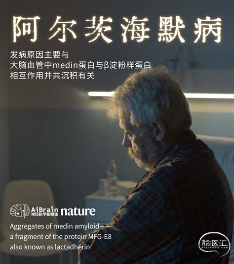 Nature丨重要现象！阿尔茨海默病大脑血管中medin蛋白与β淀粉样蛋白会相互作用并共沉积 脑医汇 神外资讯 神介资讯