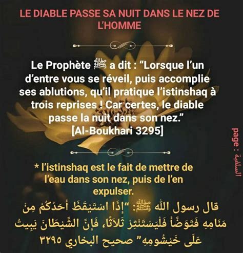 Proph Te Rappel Islam Allah Citation Priere Islamique Prophete