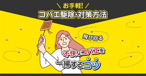 観葉植物のコバエを徹底駆除！発生原因を知ってコバエ対策に役立てる 害虫駆除110番