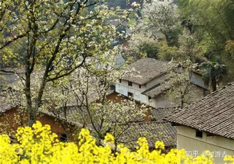 高山、梯田、海边、湖畔13个露营胜地让你拥有仲夏夜之梦 知乎