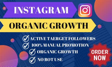 Do Super Fast Organic Instagram Growth By Isani24 Fiverr