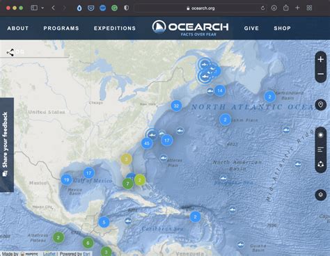 Ocearch Shark Tracker Tools Abakcus